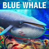 深海蓝鲸模拟(Blue Whale Simulator)最新版