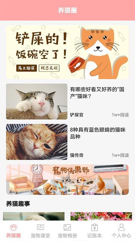 遇见我的猫正版