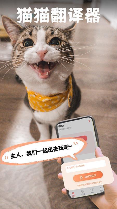 猫翻译手机版