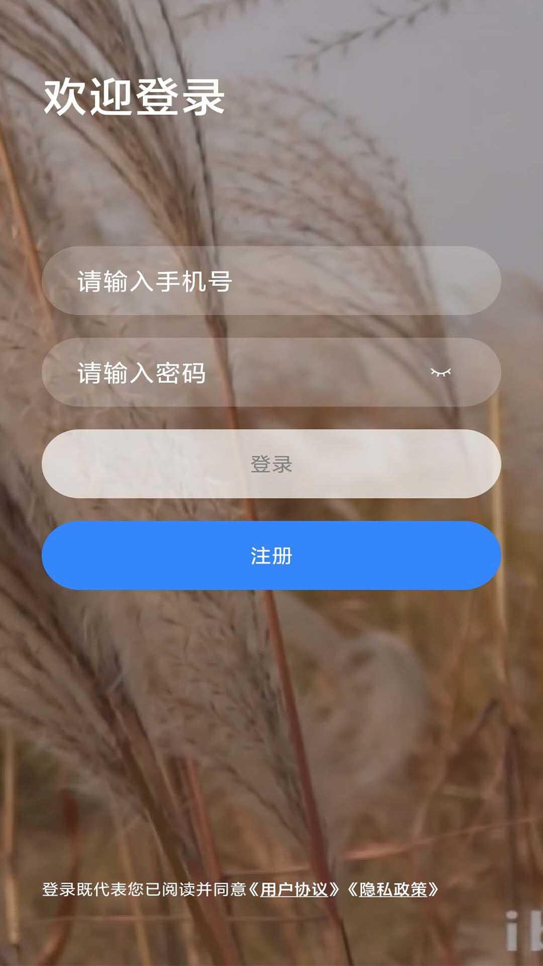 乐学网app下载