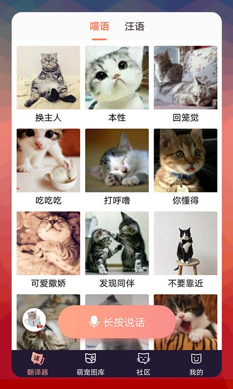 猫语翻译器真正版