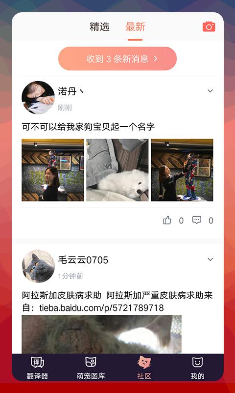 猫语翻译器真正版